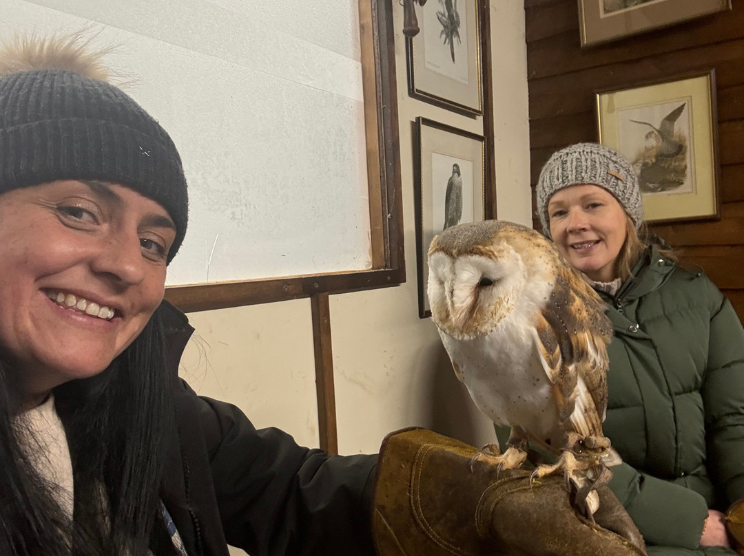 Riverside Falconry-纽卡斯尔必去景点