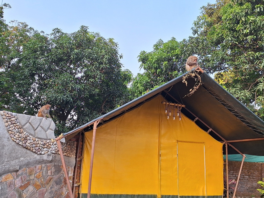 Corbett Cottage