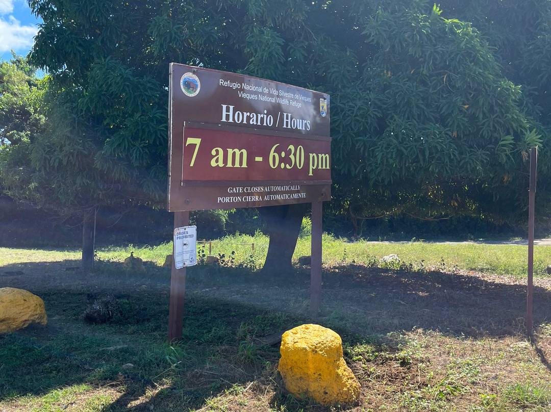 Vieques Island-维切克岛必去景点