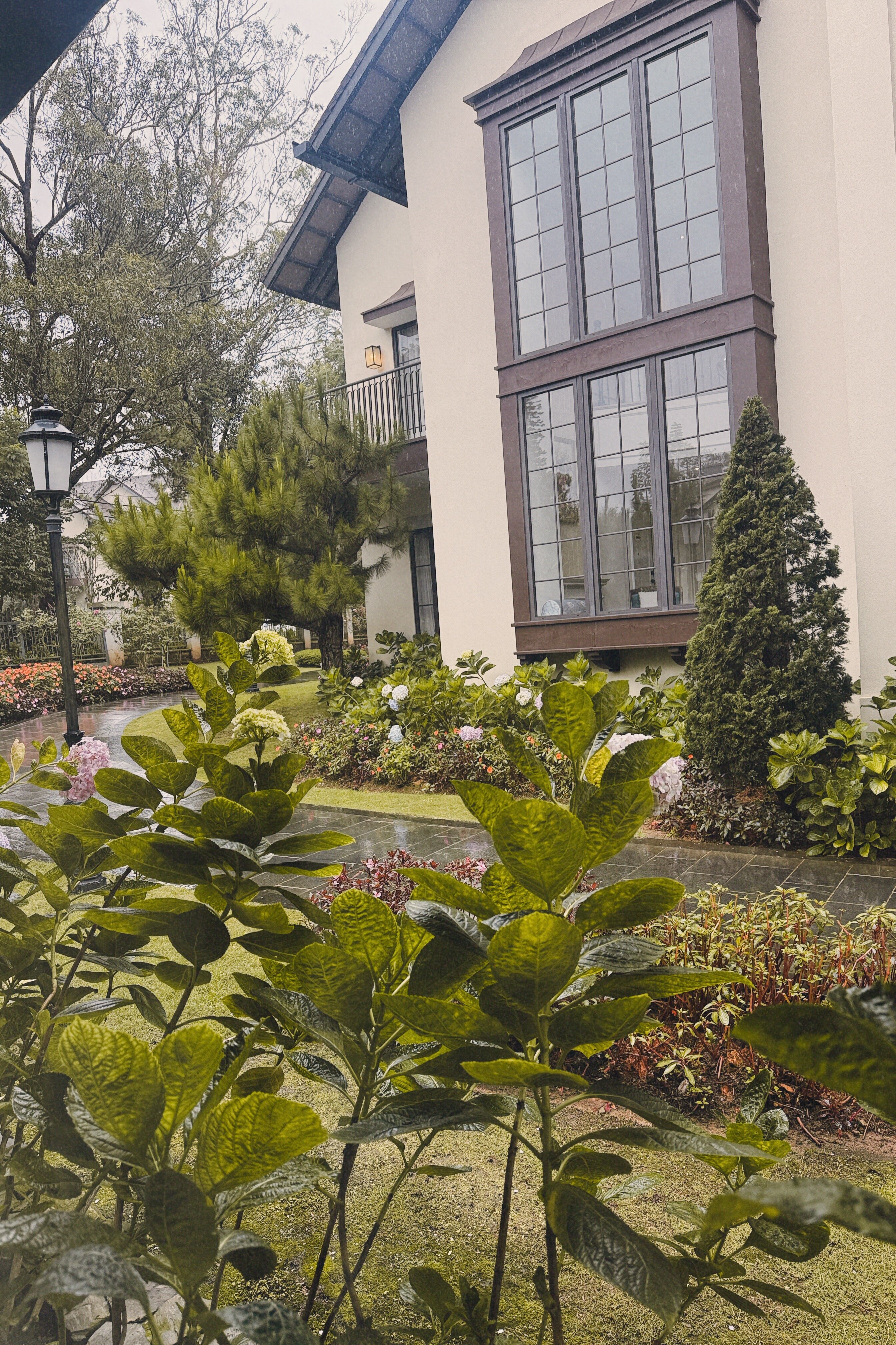 大叻美居度假酒店-官方