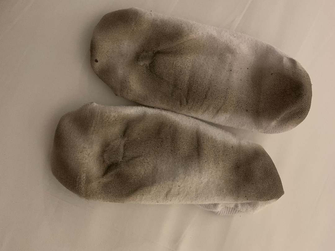 Wyndham Garden Antofagasta Pettra主图