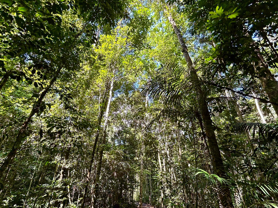 Cachoeira das Orquideas-Presidente Figueiredo必去景点