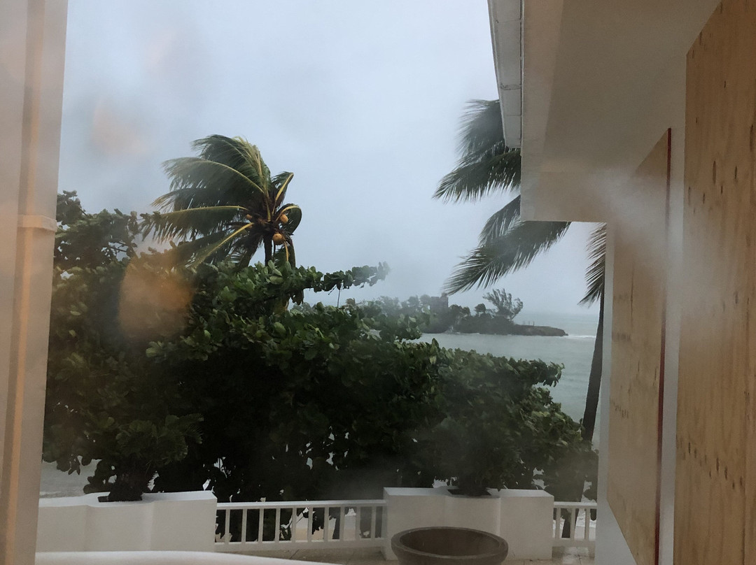 Bamboo Avenue-牙买加必去景点