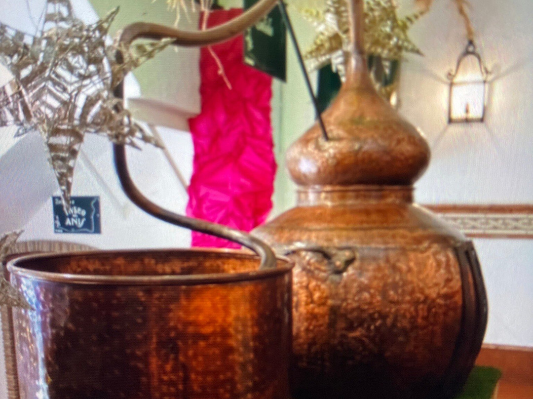 Museo del Anis-鲁德必去景点