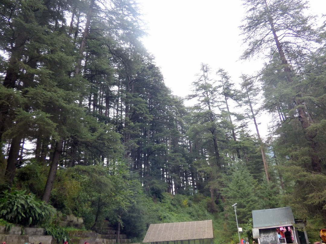 Van Vihar-Manali Tehsil必去景点