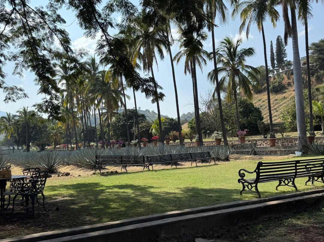 Tequila Fortaleza-特基拉必去景点