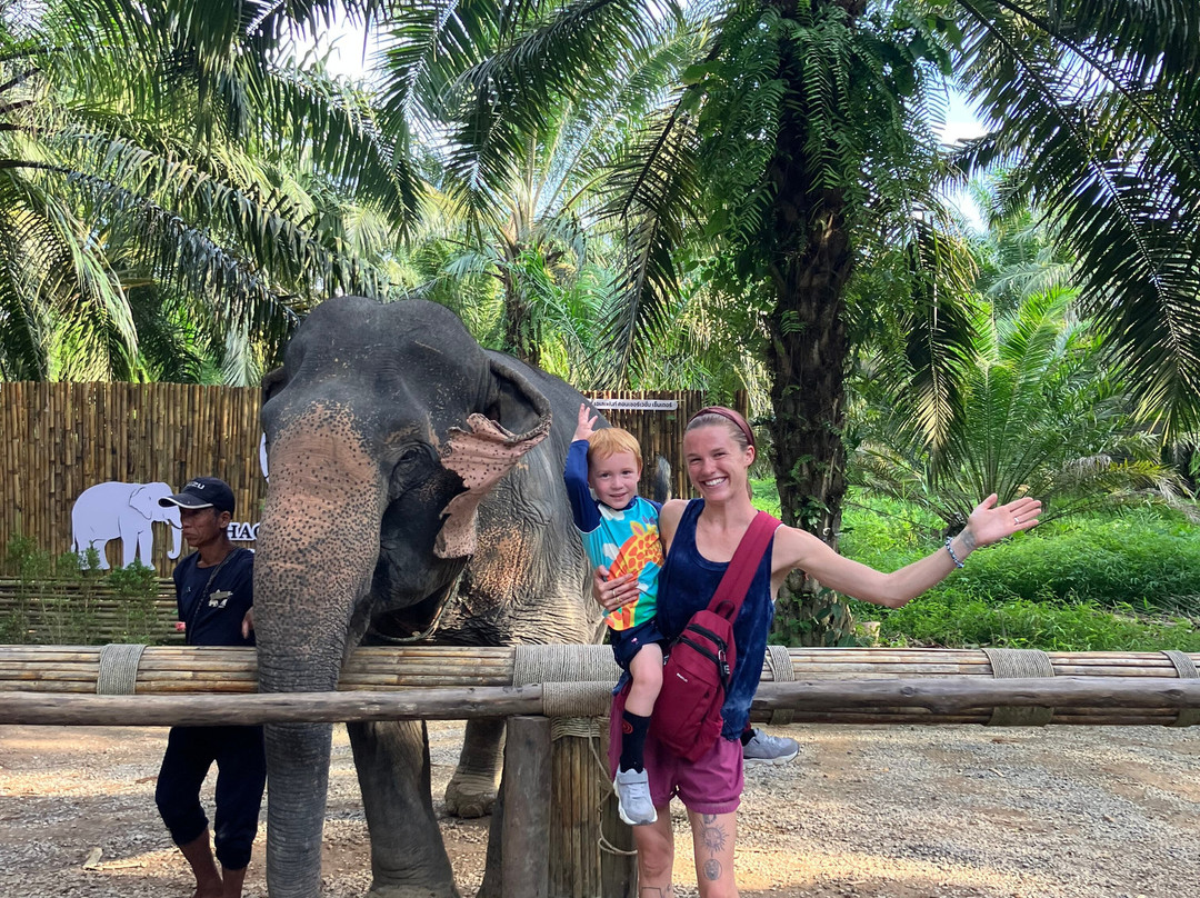 Khao Sok Elephant Sanctuary-拷索国家公园必去景点
