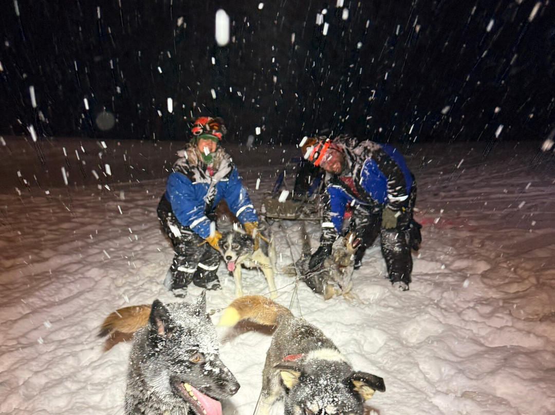 Green Dog Svalbard-朗伊尔城必去景点