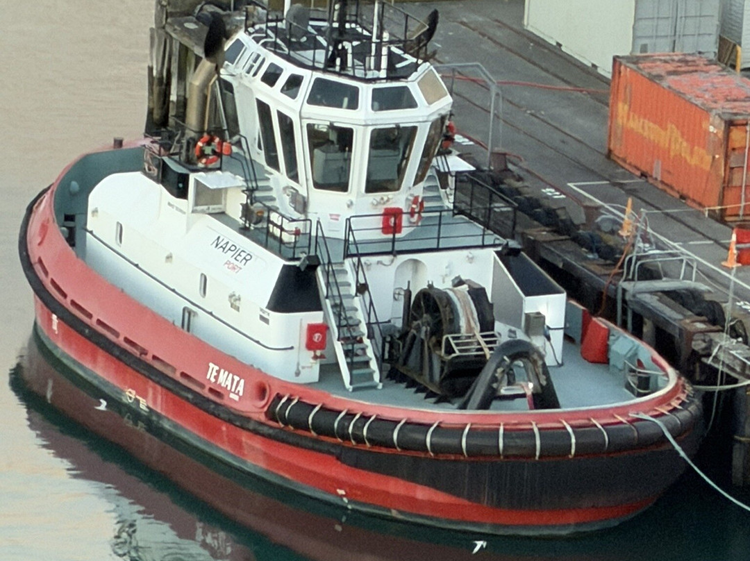 Bluff Hill Lookout-纳皮尔必去景点