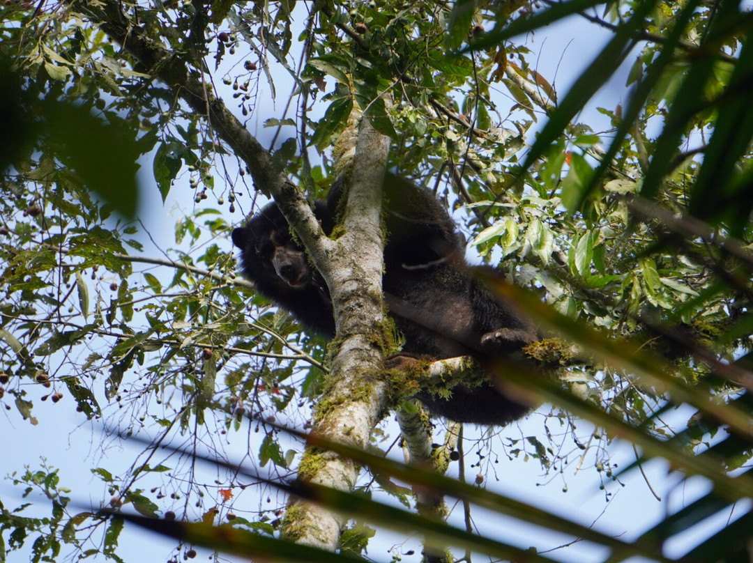 Maquipucuna Reserve-基多必去景点