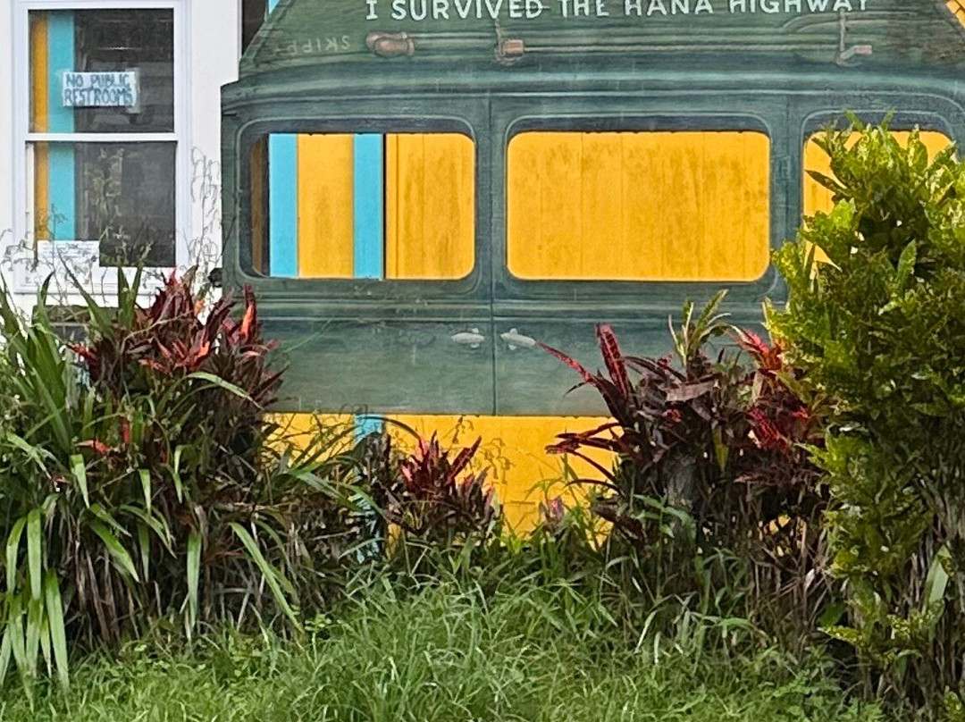 Hawaii Tours-火奴鲁鲁必去景点