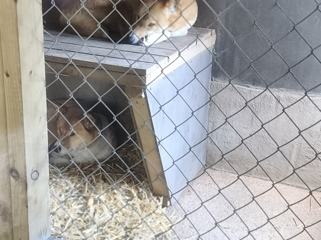 Exmoor Experience-Allerford必去景点