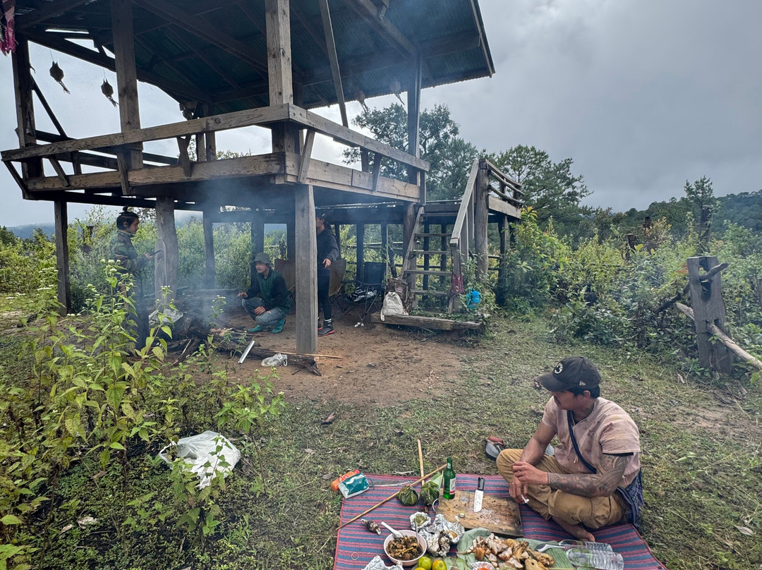 Elephant Freedom Village-清迈必去景点