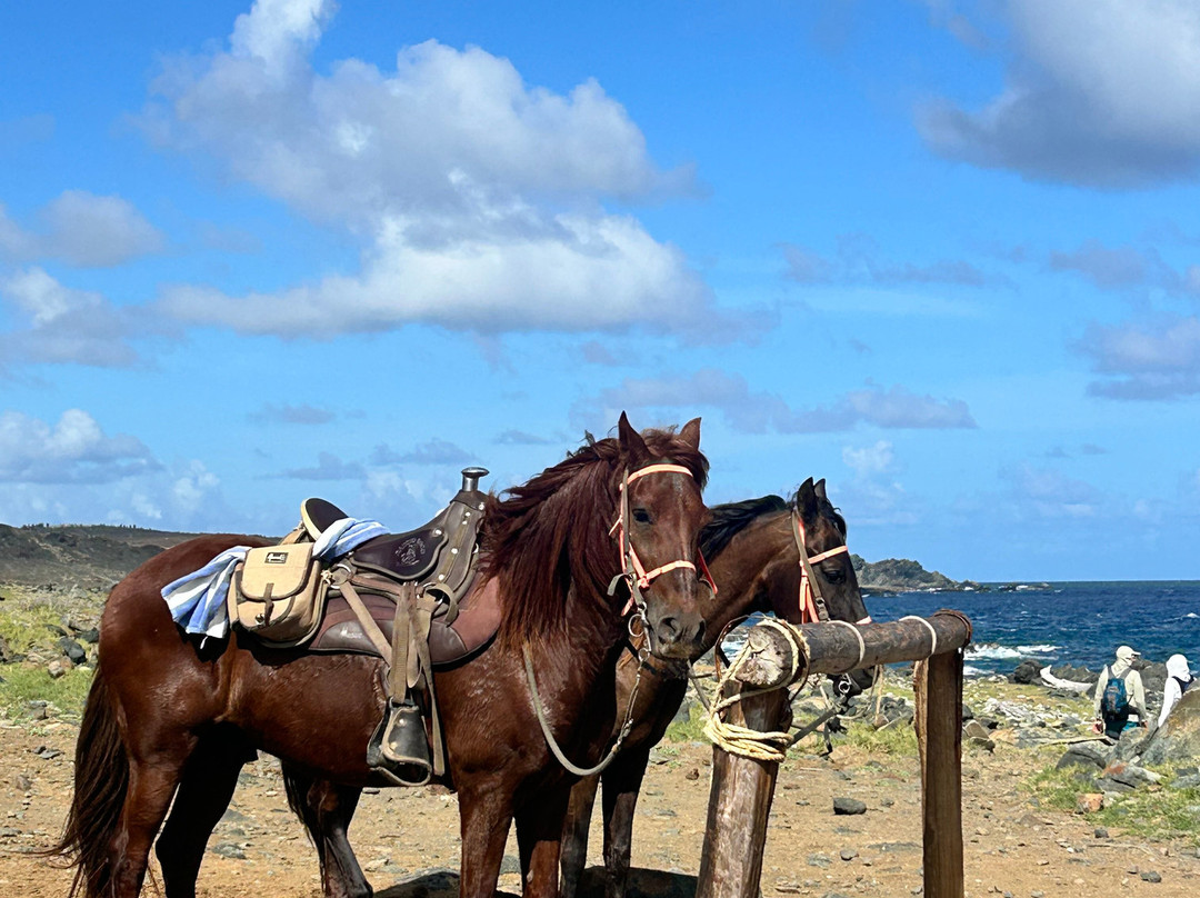 Rancho Loco-Santa Cruz必去景点