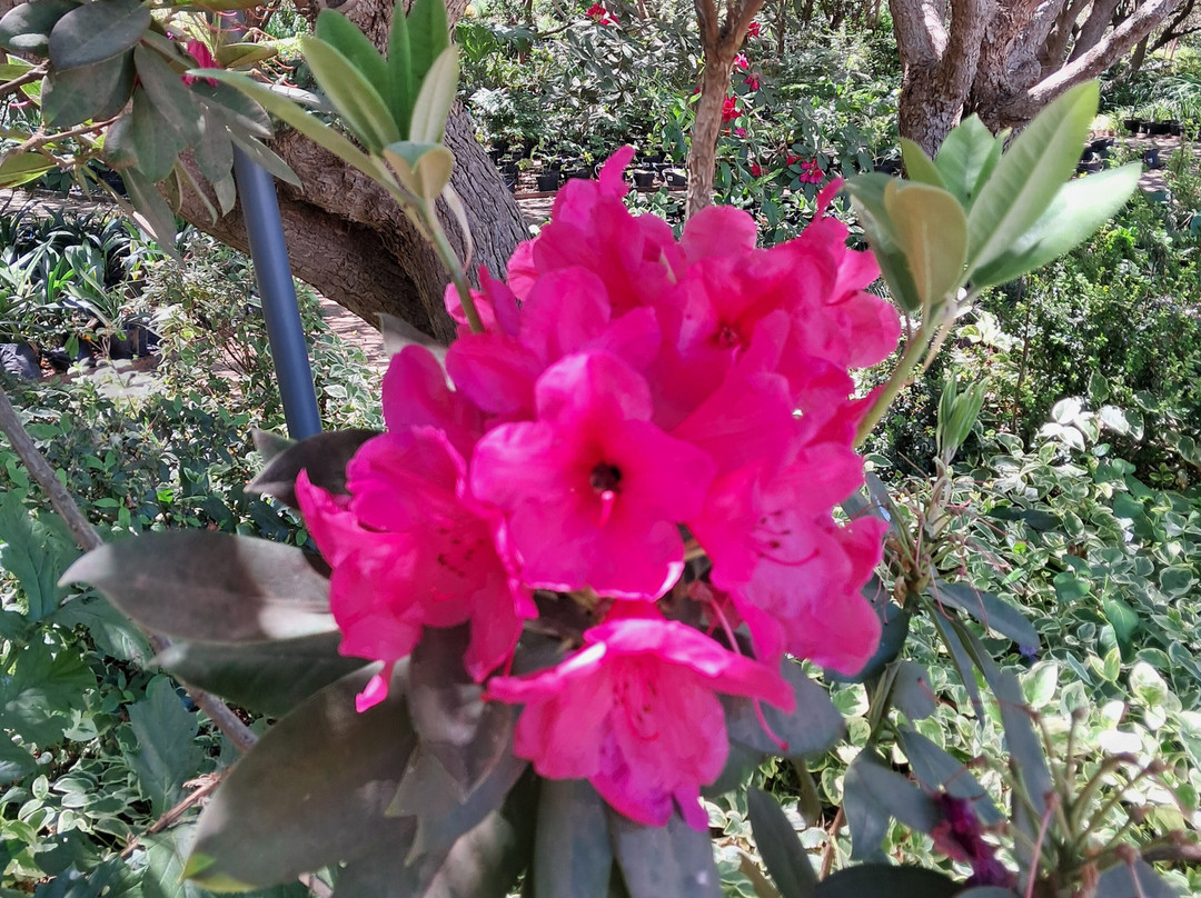 Parque Tricao-Santo Domingo必去景点