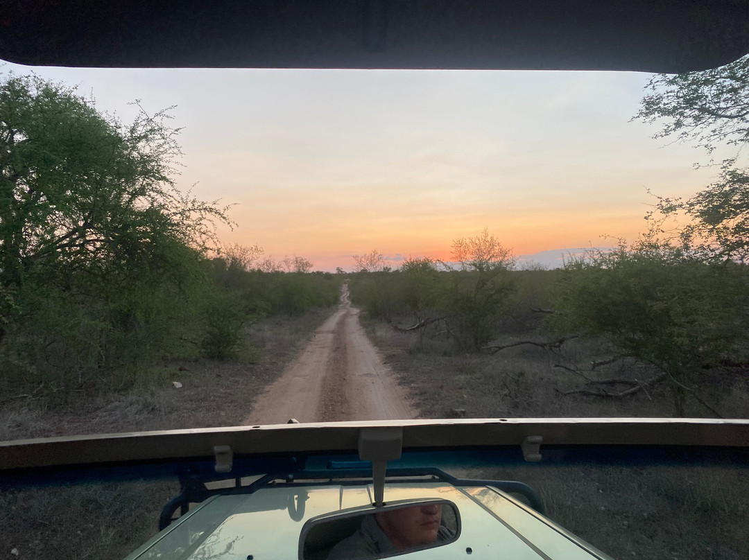 African Safari Group-开普敦必去景点