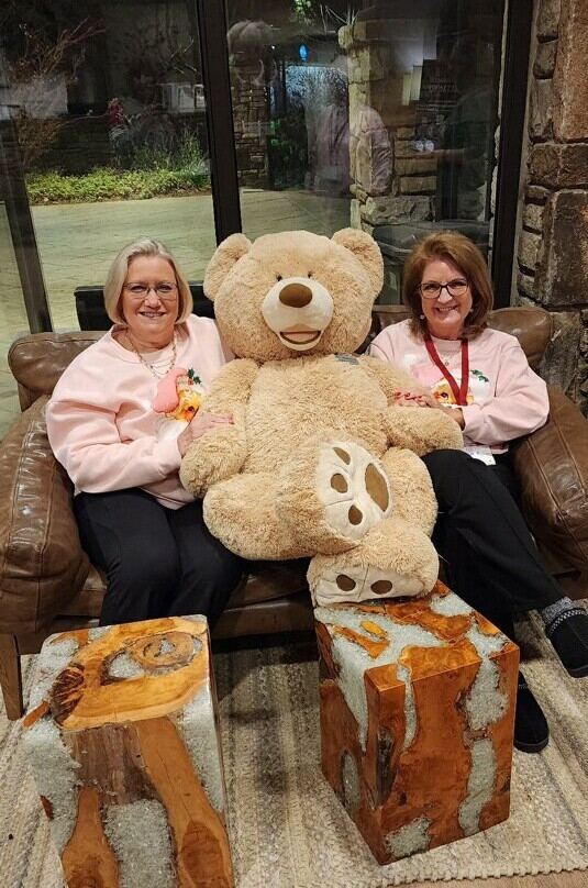 Holiday Inn Asheville East-blue Ridge Pkwy By IHG主图