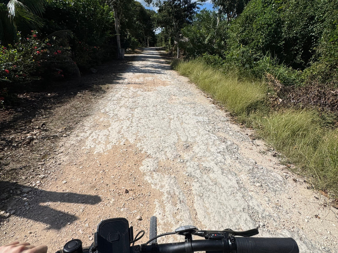 Ciclotour Aventuras Valladolid-巴利亚多利德必去景点