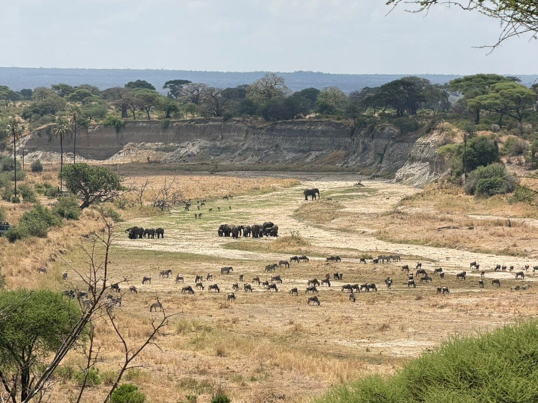 Tanzania Climbing Outfitters-阿鲁沙必去景点