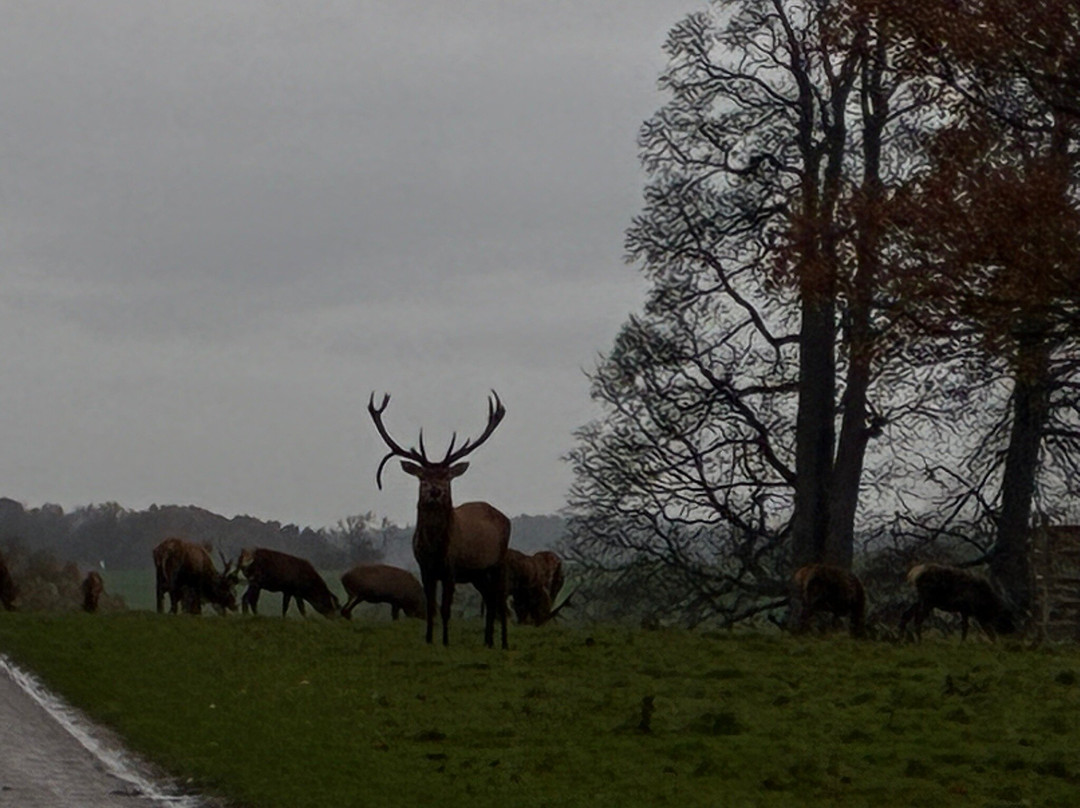 Holme Grange Farm主图