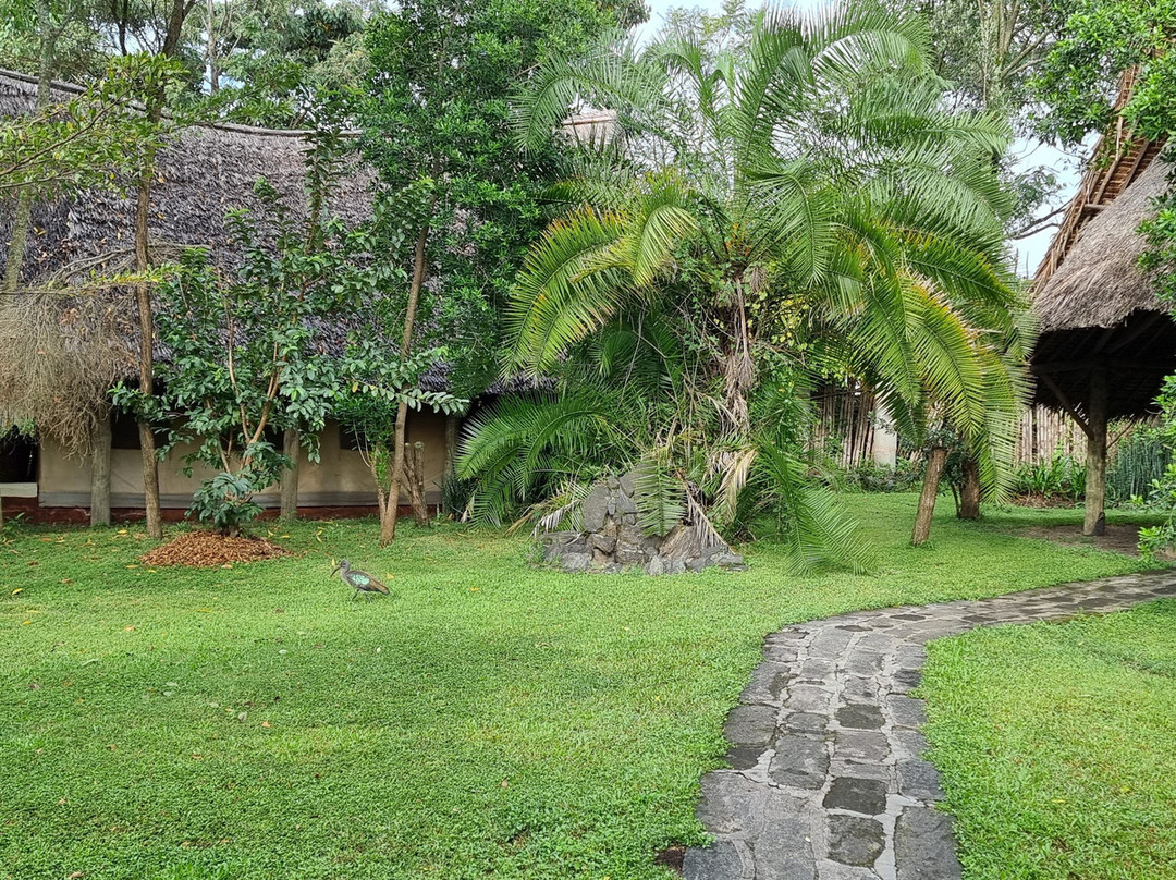 Flamingo Hill Tented Camp主图