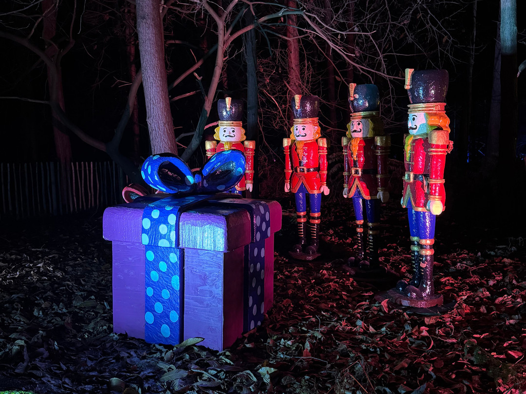 Bewilderwood Norfolk-Hoveton必去景点