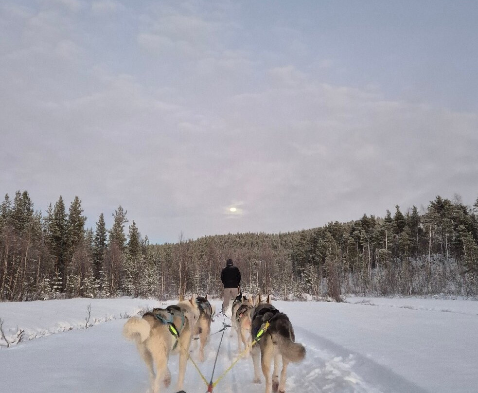 Happy Huskies-伊瓦洛必去景点
