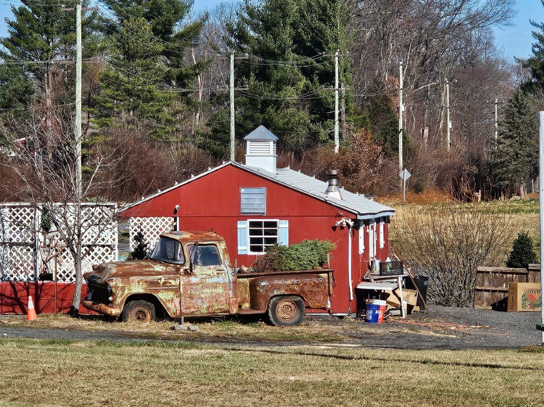 Jones Family Farm-Street必去景点