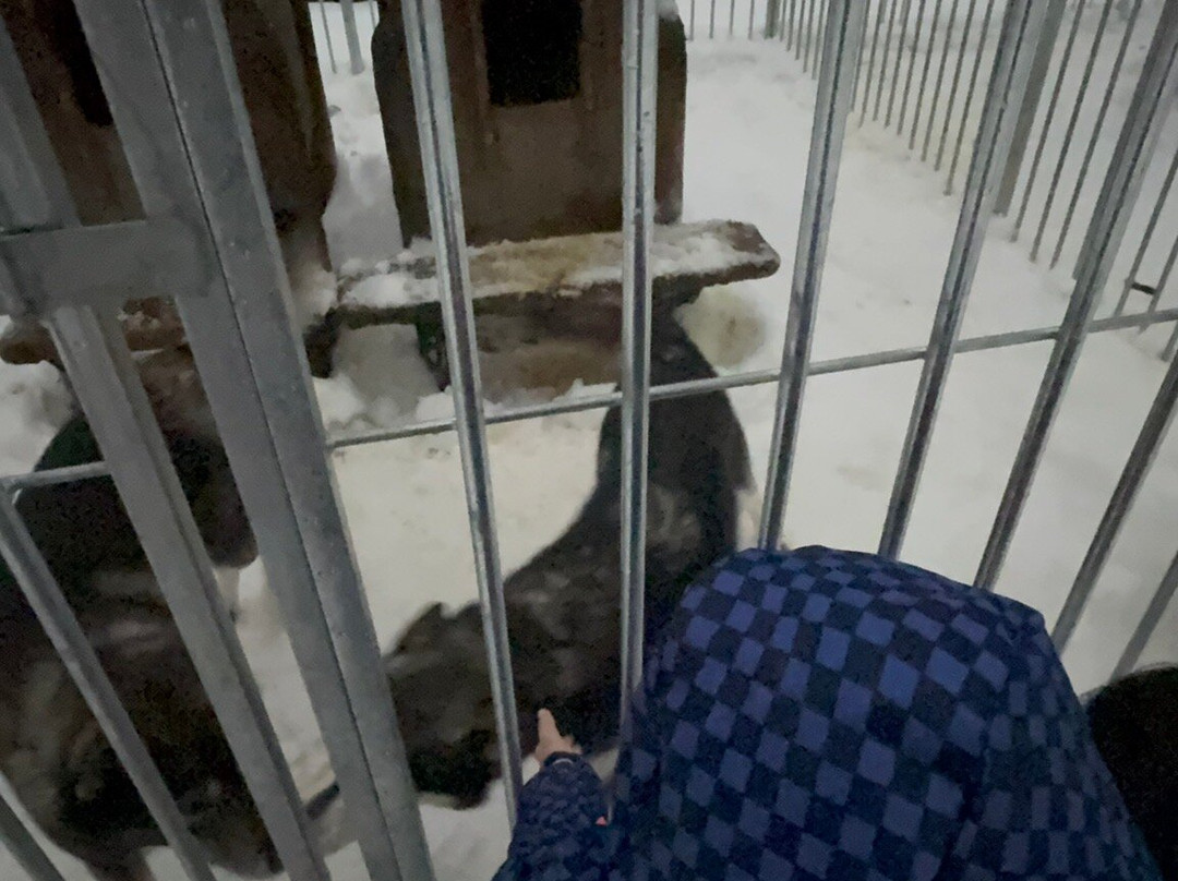 Arctic Circle Husky Park-罗瓦涅米必去景点