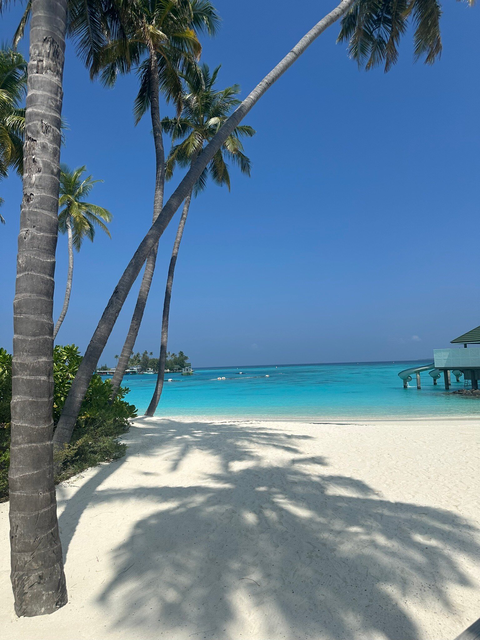 Siyam World Maldives-官方