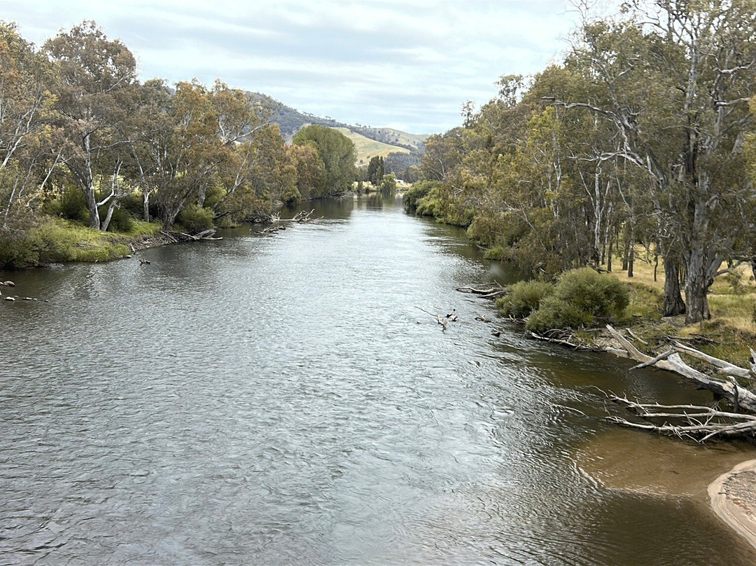 Fun Over Fifty-布里斯班必去景点