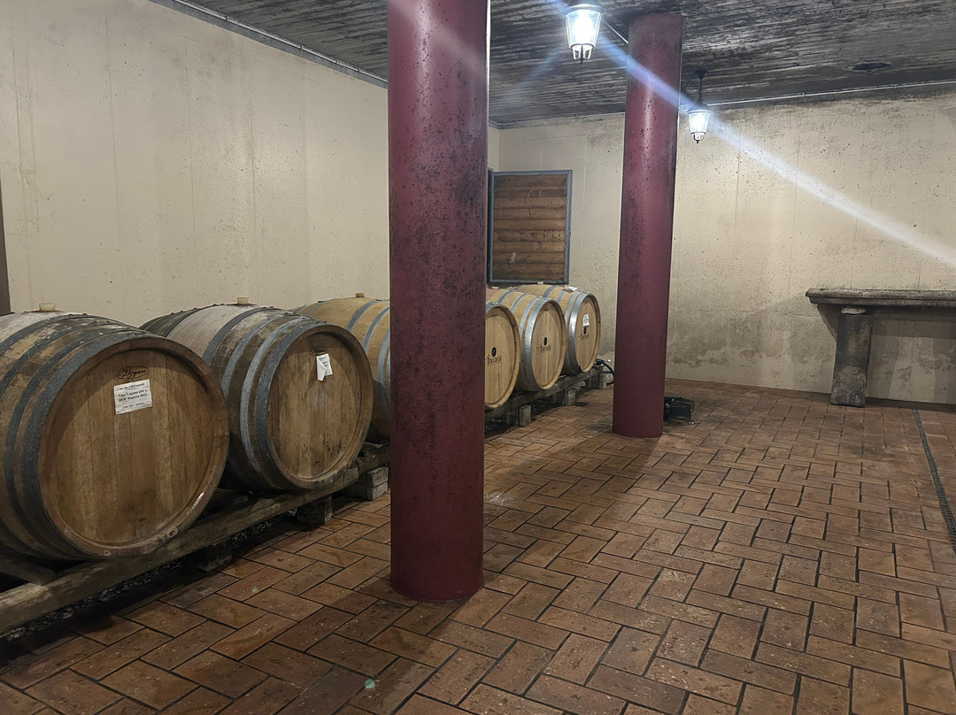 Az Agr Flli Fraccaroli - Lugana Doc-佩斯基耶拉德尔加尔达必去景点