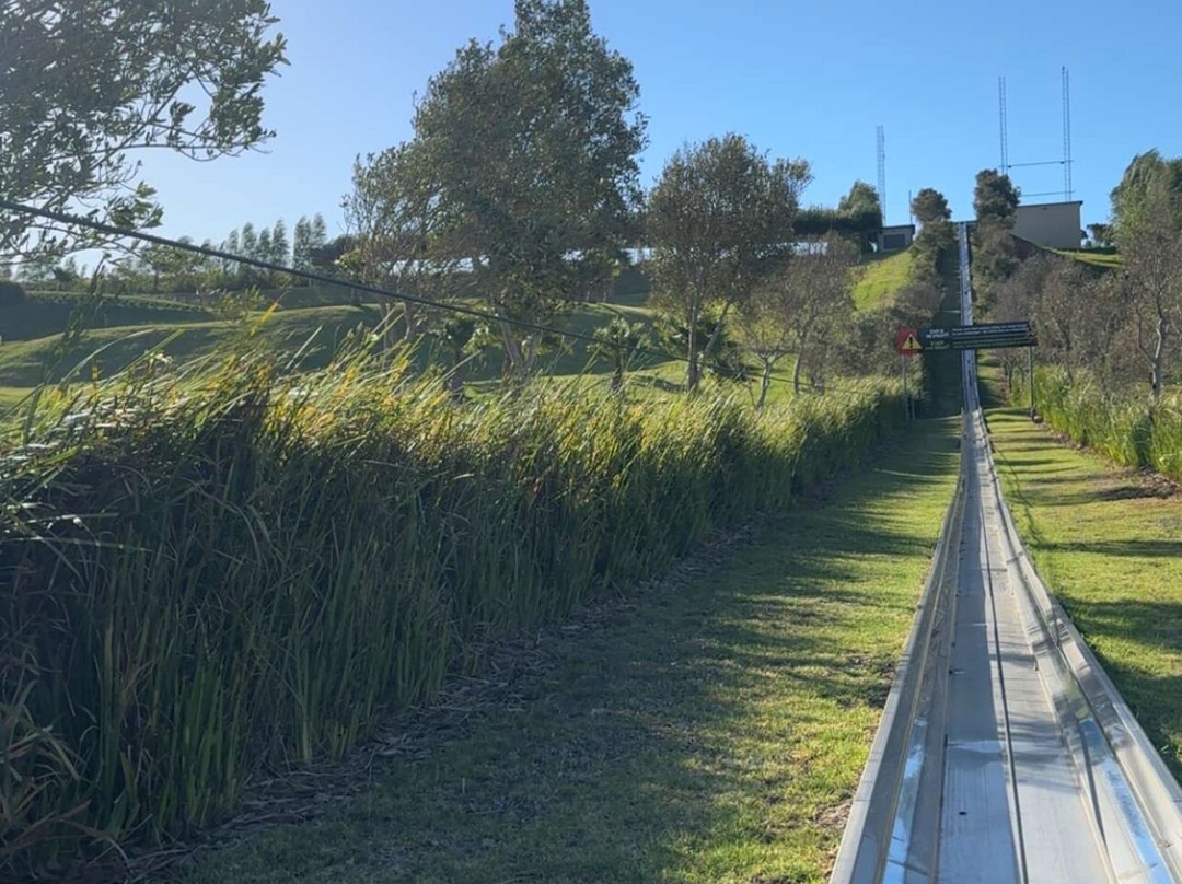 Cool Runnings-Bellville必去景点