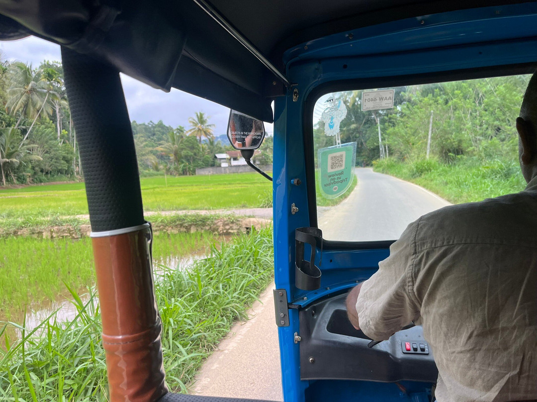 Private Tour Driver Sri Lanka-康提必去景点
