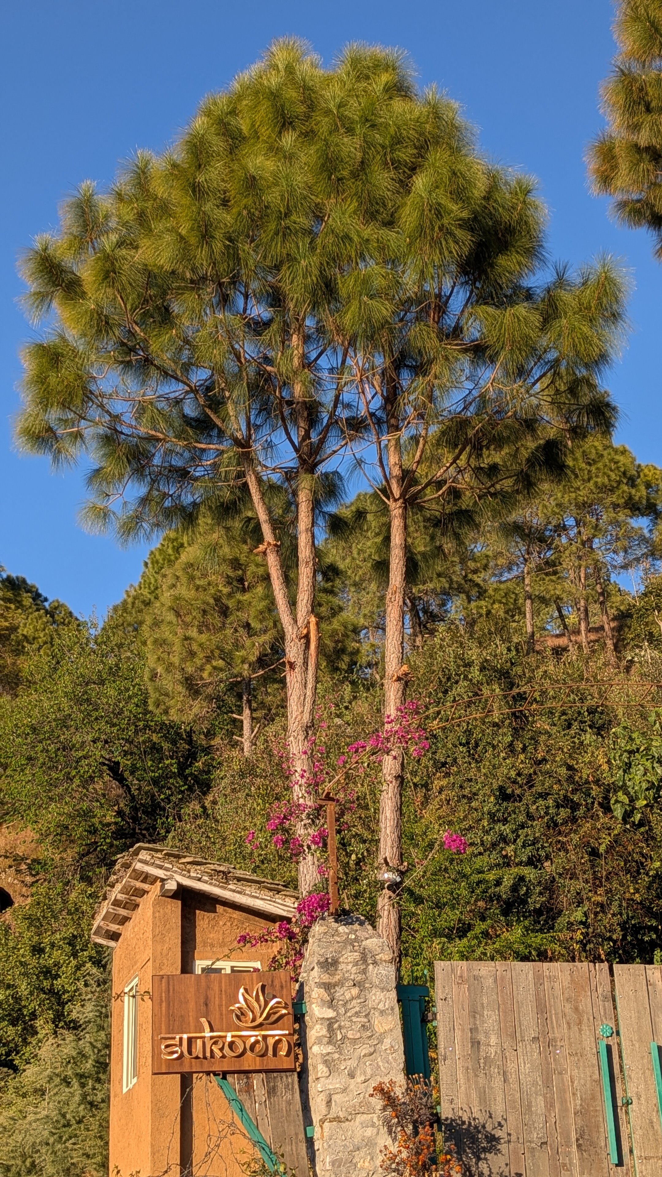 Sukoon Nature Retreat-官方