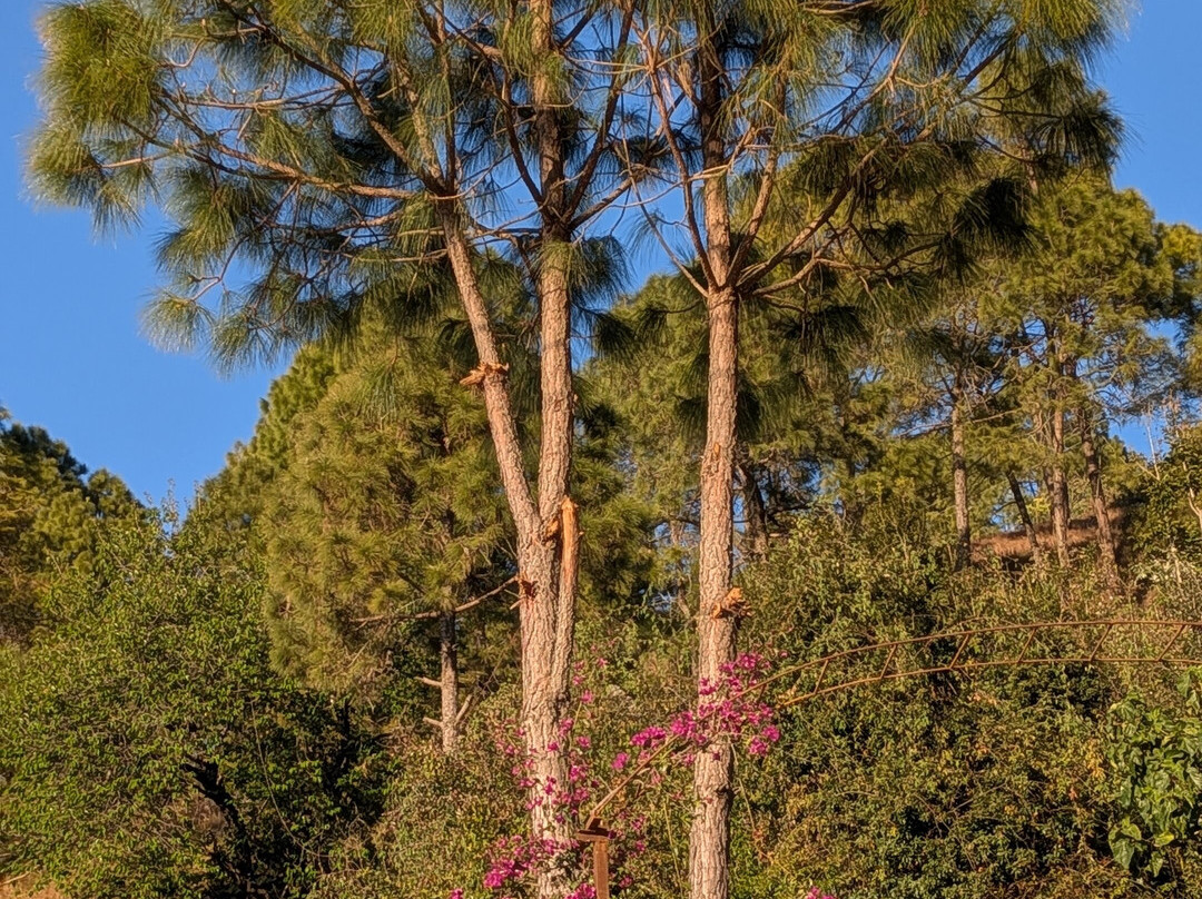 Sukoon Nature Retreat主图