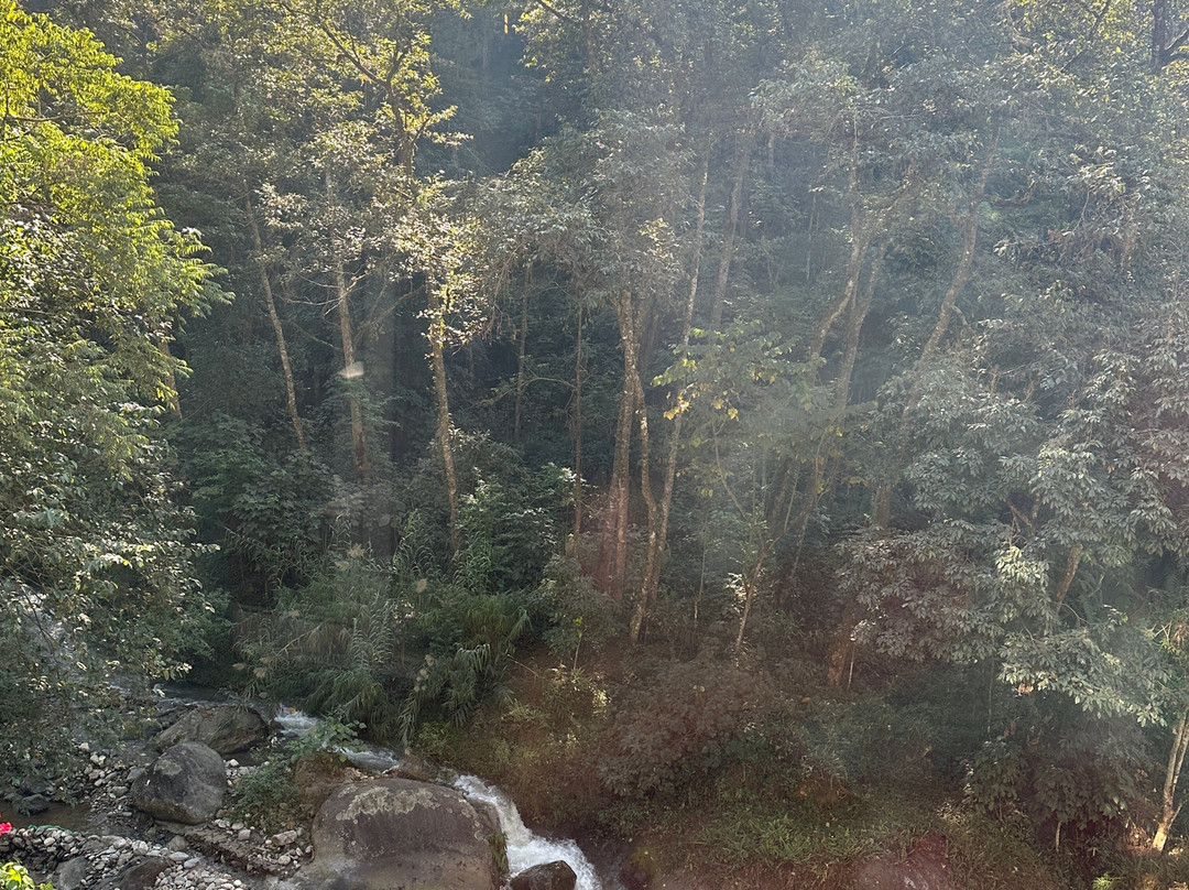 Avianna Gangtok Resort & Spa主图