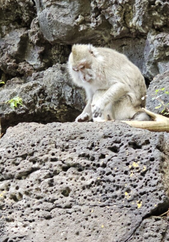 Apollon Cruise-Palmar必去景点