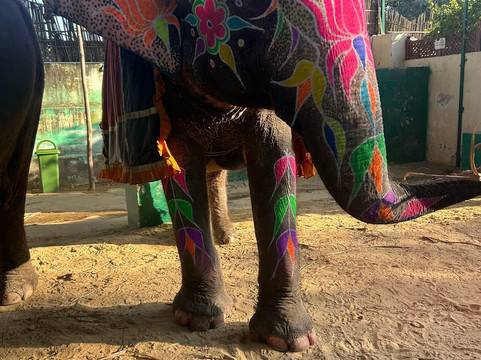 Golden Triangle Tours In India-斋蒲尔必去景点