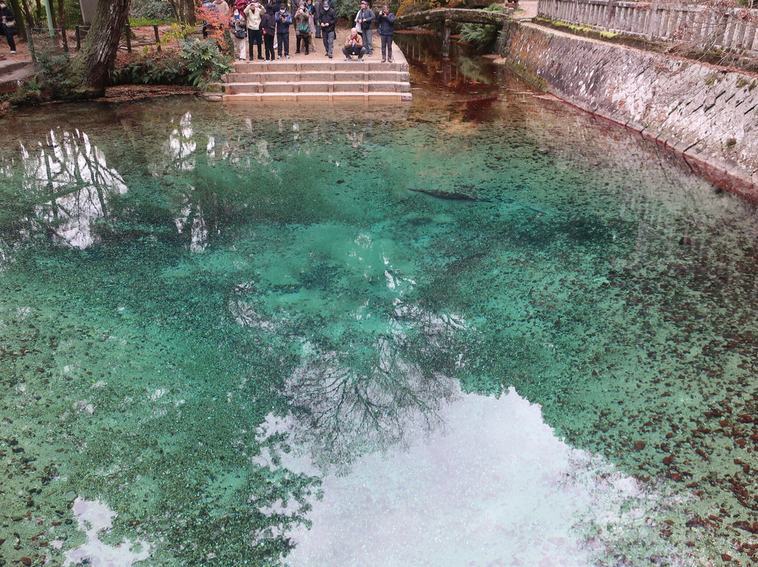 別府弁天池湧水-美祢市必去景点