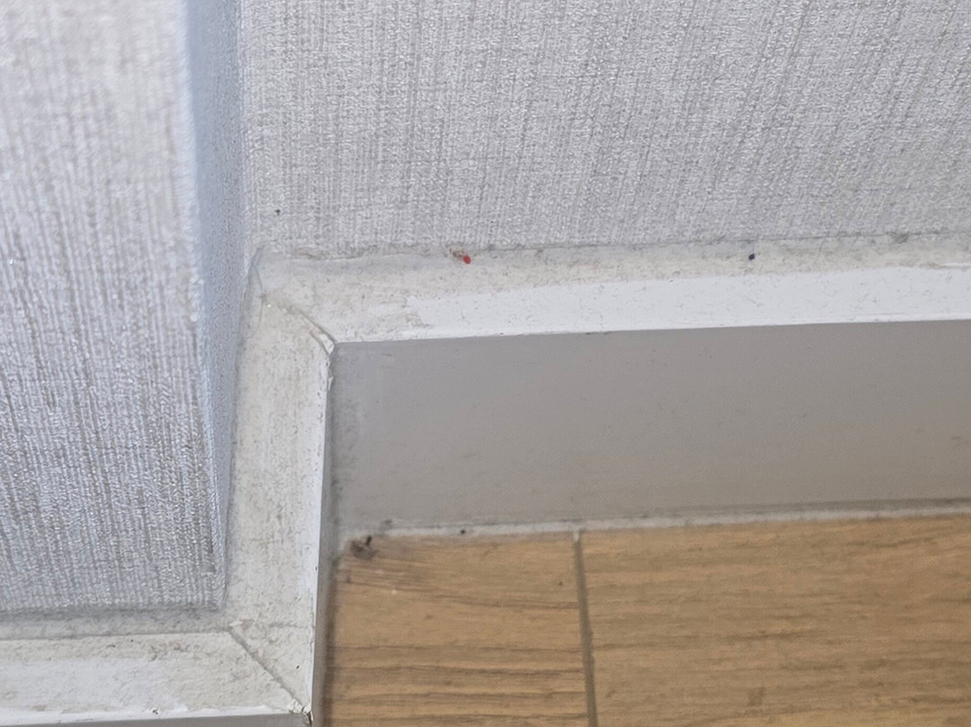 Eskisehir Dedeman智能酒店主图