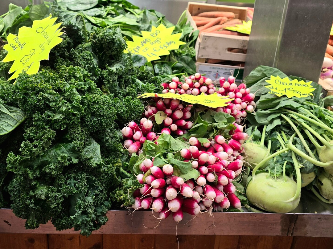 Marche Couvert-梅斯必去景点