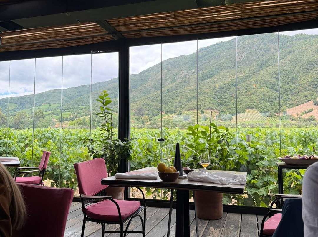 Colchagua Wine Tours-圣克鲁斯必去景点