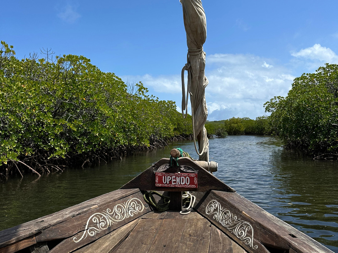 Lady Lamu Dhow-拉穆岛必去景点