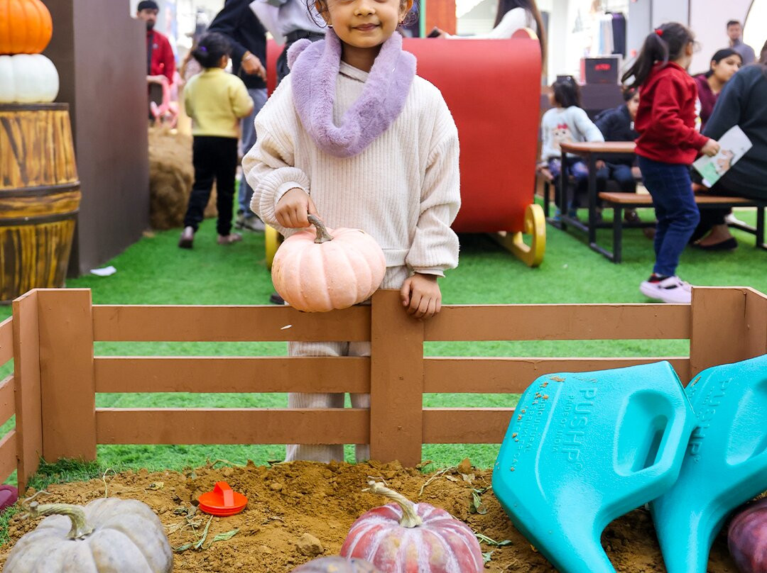 The Mall Of Faridabad-法里达巴德必去景点