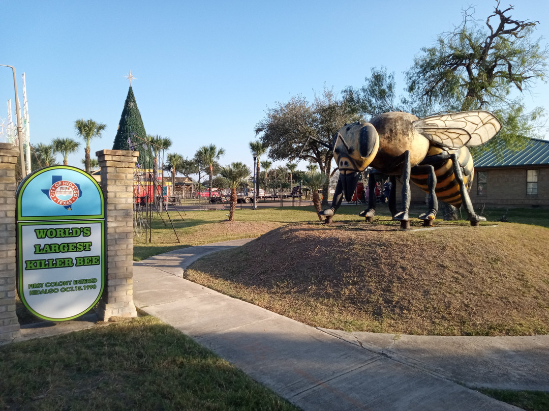 World's Largest Killer Bee-Hidalgo必去景点