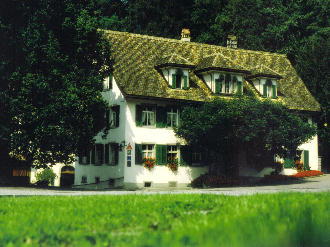 Sihlbrugg酒店住宿-Hotel Krone