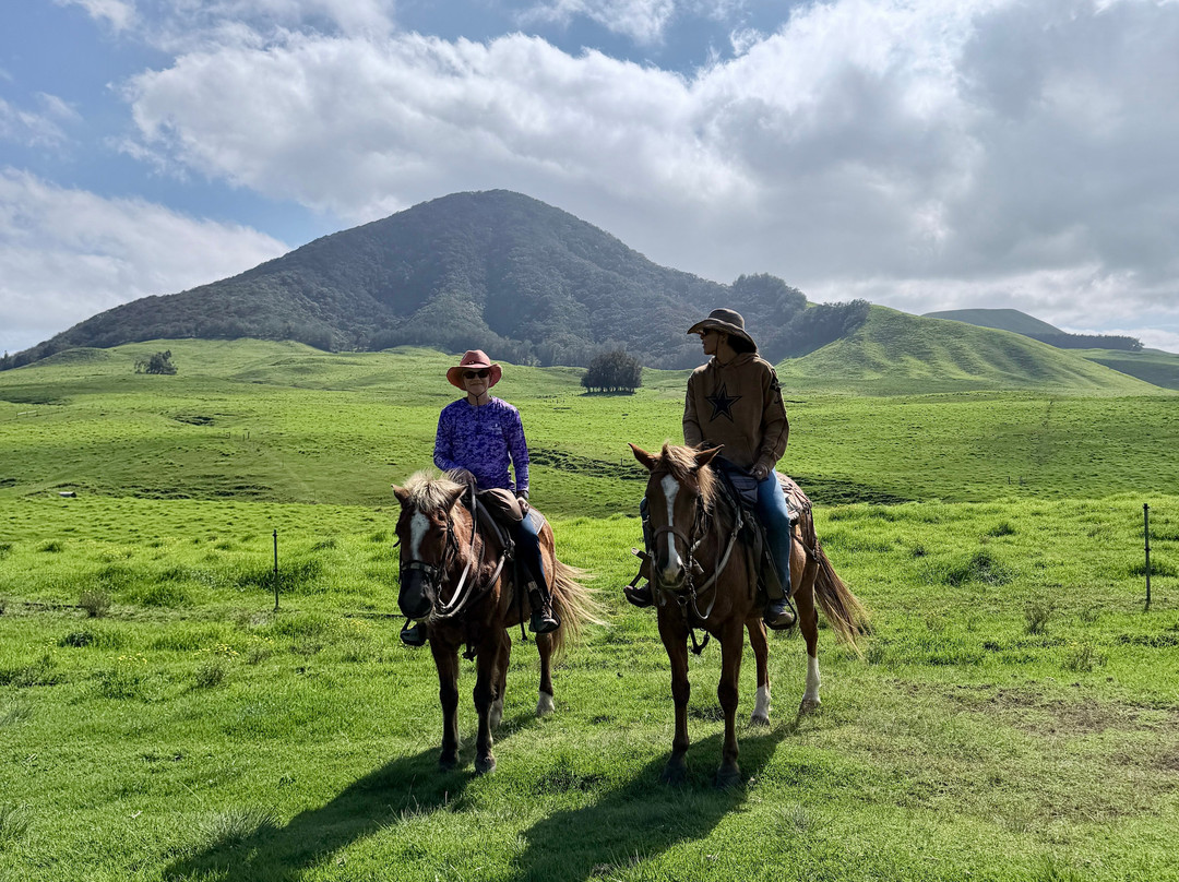 Na'alapa Stables - Kahua Ranch-卡慕也拉必去景点