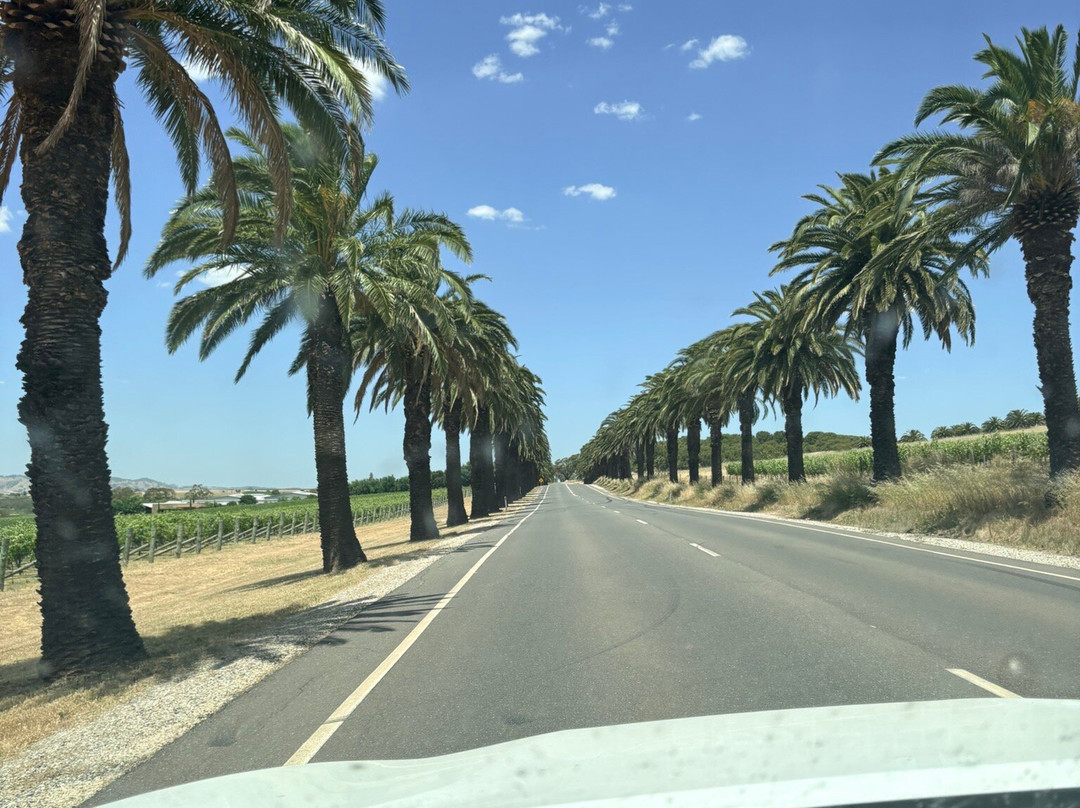 Barossa Visitor Centre-塔努达必去景点