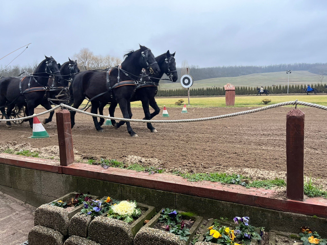 Lázár Lovaspark-Domony必去景点